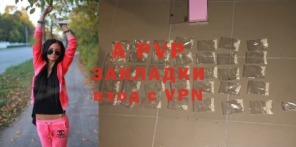 стаф Беломорск