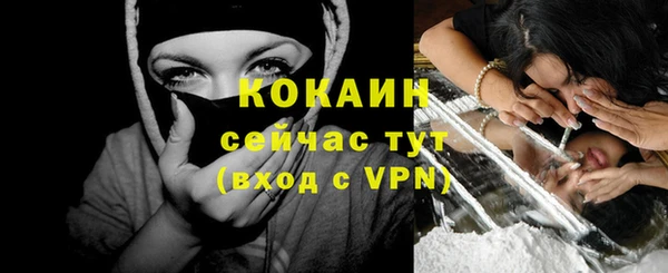 бошки Белокуриха