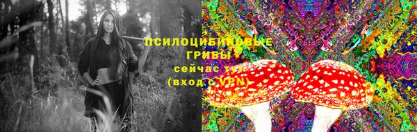 стафф Белоозёрский