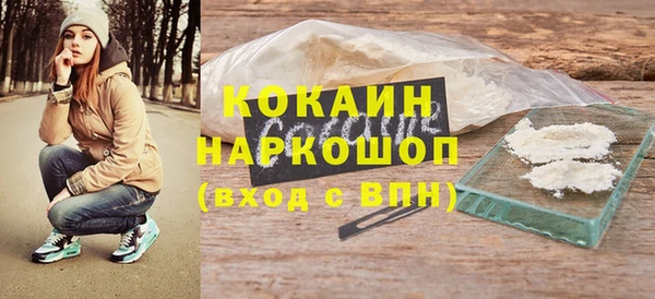 бошки Белокуриха