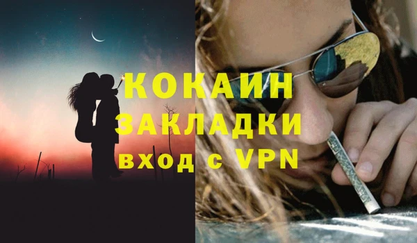 бошки Белокуриха