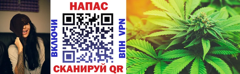 Бошки марихуана OG Kush  Михайлов 